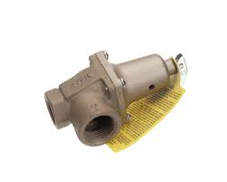 Lochinvar® 100208442 Pressure-Relief Valve, Female, 50 psi