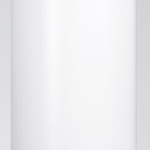 Viessmann Manufacturing 7720343 Single Coil Indirect-Fired Domestic Hot Water Storage Tank, Vitocell 300-V, 53 USG