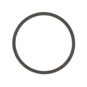 Bell & Gossett P57700 Body Gasket, Bronze/Iron