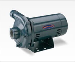 Berkeley S39512 Centrifugal Pump, 208-230/460 V, 3 Phase, Cast Iron/Shaft Seal: 416 Stainless Steel