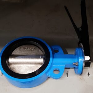 KVC BW-1000-11DBL05 Stainless Steel Butterfly Valves, 5 in