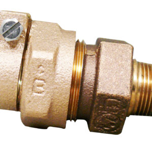 CAMBRIDGE BRASS™ 117NL-PJ7M7 Adapter, 2 in, IPS Compression x MIP Compression, Brass, Lead-Free