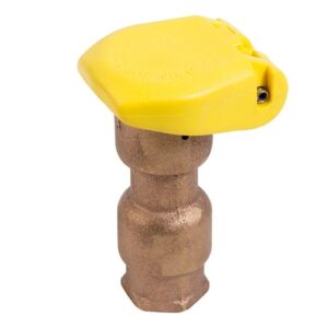 Rain Bird® B10603 3/4 in Quick Coupling Valve, Brass