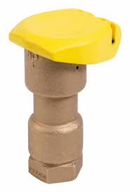 Rain Bird® B12703 Quick Coupling Valve, 5-1/2 in H, Brass/Thermoplastic , Yellow