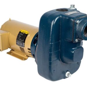 FPS 92980150 FTB5CI-E Turf Boss Self-Priming Pump, 5 hp, 2-1/2 in Inlet 2 in Outlet, 230 VAC, Single Phase