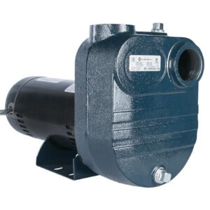 Franklin Electric 92931020 FBSE-200-S Self-Priming Pump, 2 hp, 230 VAC, Single Phase