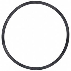 Bell & Gossett P15691 Gasket