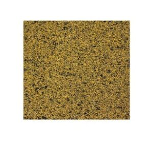 LynCar 12620 Gasket Sheet, 6 in L x 6 in W x 1/32 in THK, Neoprene, Black