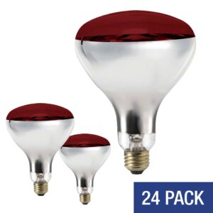 Canarm® B-HLR40R250W Heat Lamp Bulb, 250 W, R40, Red