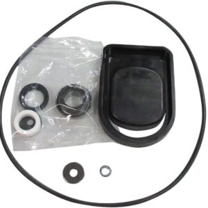 BE Power Equipment 85.571.162 Chemical Pump Seal Kit, 2 in