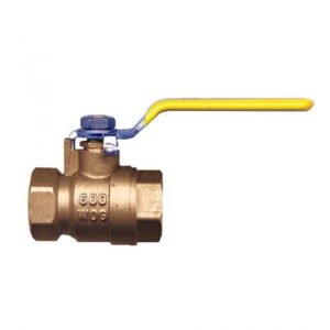 Fairview BV4103-N Ball Valve, 2-1/2 in, FNPT, Full Port, PTFE