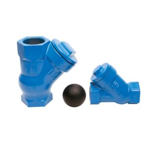 Flomatic® 2142 PVC Ball Check Valve, 2 in, Female, Cast Iron Body
