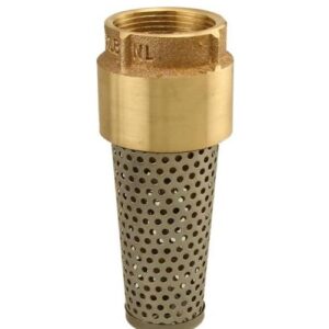 Boshart Industries 17YBFV100NL Brass Threaded Foot Valve, 1 in, FPT, Brass Body
