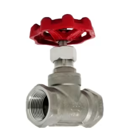 Globe Valves